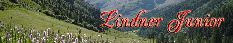 header lindner